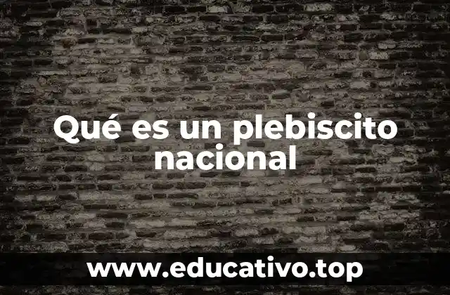 Qué es un plebiscito nacional