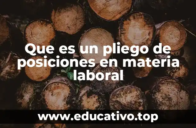 Que es un pliego de posiciones en materia laboral