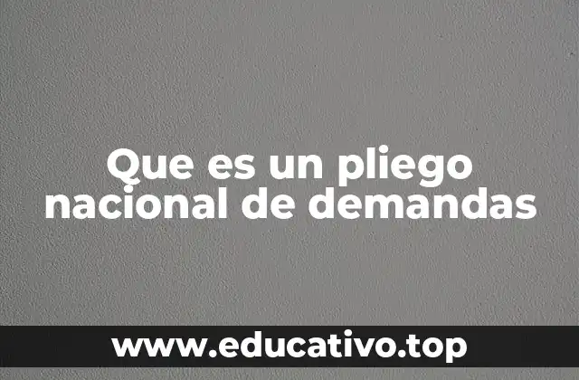 Que es un pliego nacional de demandas
