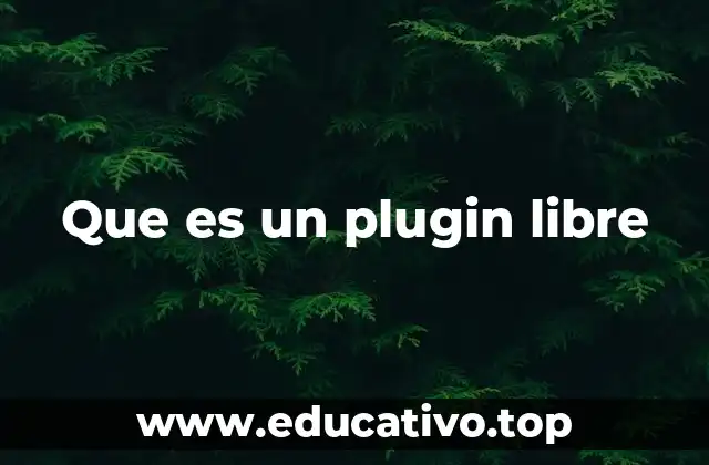 Que es un plugin libre