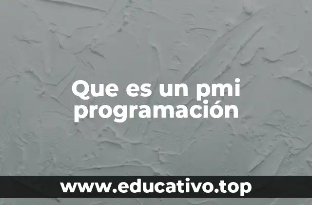 Que es un pmi programación