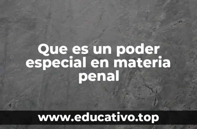 Que es un poder especial en materia penal