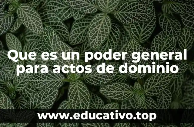 Que es un poder general para actos de dominio