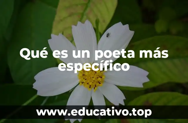 Qué es un poeta más específico