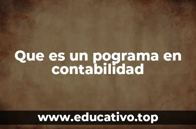 Que es un pograma en contabilidad