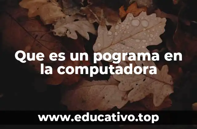 Que es un pograma en la computadora