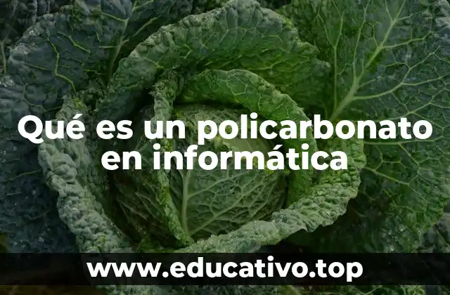 Qué es un policarbonato en informática