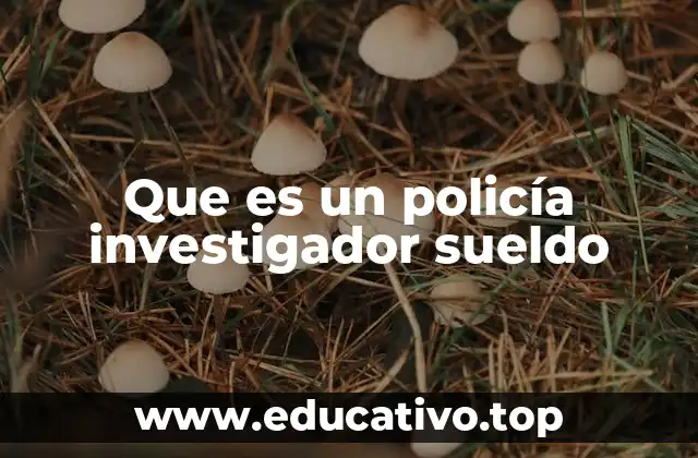 Que es un policía investigador sueldo