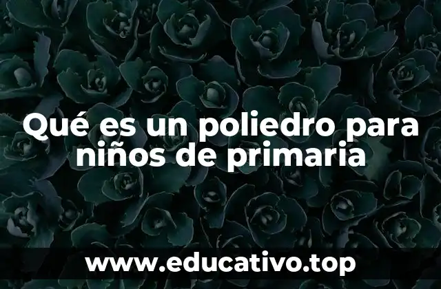 Qué es un poliedro para niños de primaria