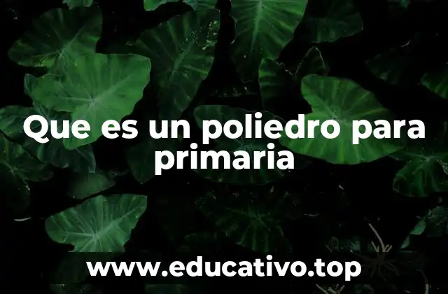 Que es un poliedro para primaria