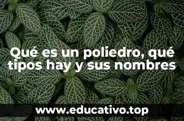 Características básicas de las figuras tridimensionales