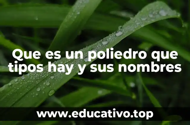 Que es un poliedro que tipos hay y sus nombres