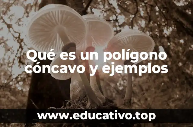 Qué es un polígono cóncavo y ejemplos
