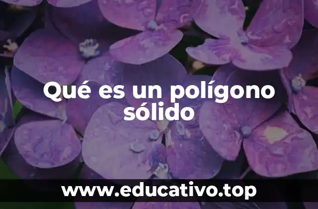 Qué es un polígono sólido