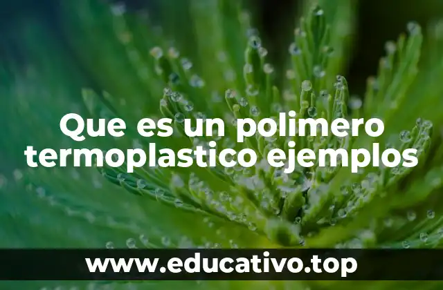 Que es un polimero termoplastico ejemplos