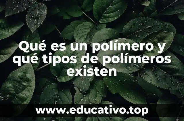 Qué es un polímero y qué tipos de polímeros existen