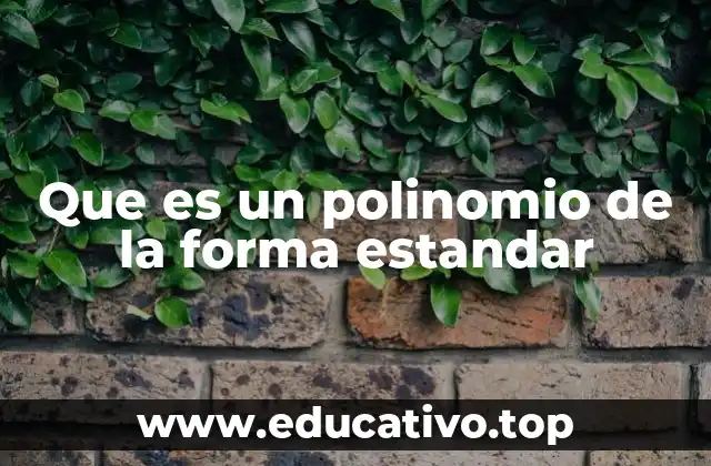 La importancia de la estructura en el álgebra