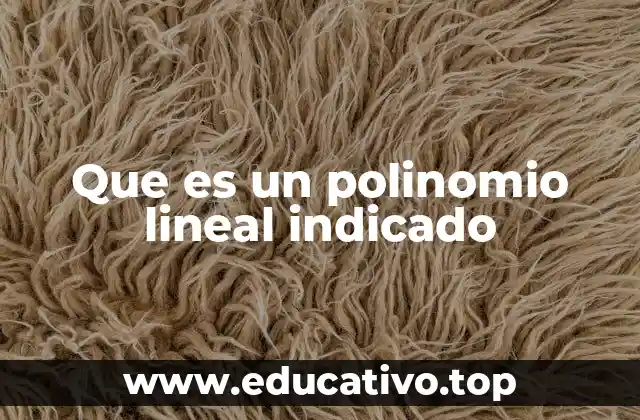 Que es un polinomio lineal indicado