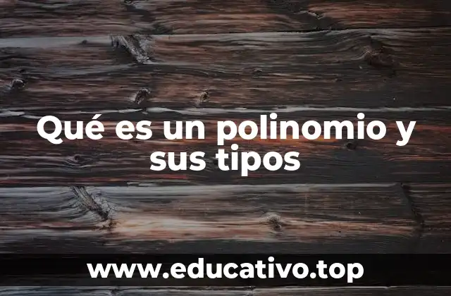 Qué es un polinomio y sus tipos