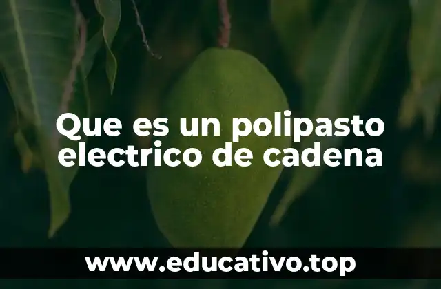 Que es un polipasto electrico de cadena