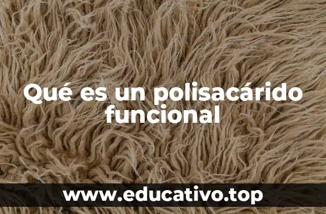 Qué es un polisacárido funcional