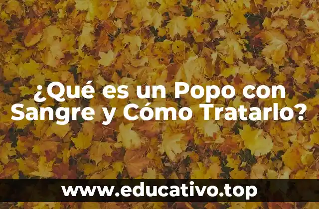 ¿Qué es un Popo con Sangre y Cómo Tratarlo?