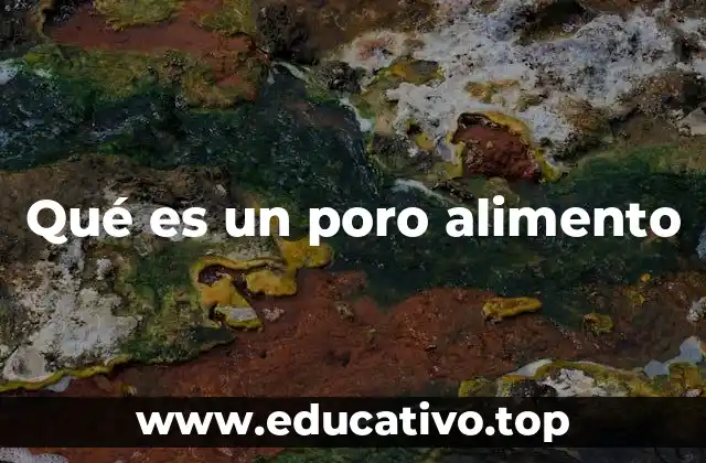 La importancia de los poros en la salud de la piel