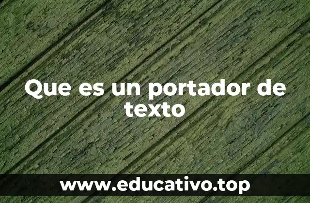 Que es un portador de texto