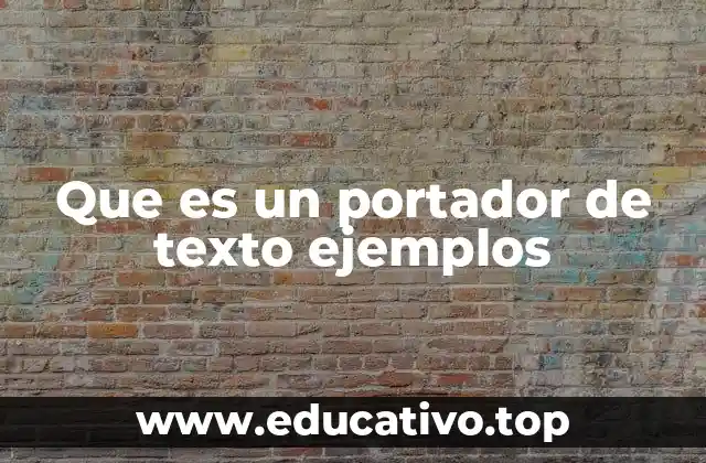 Que es un portador de texto ejemplos