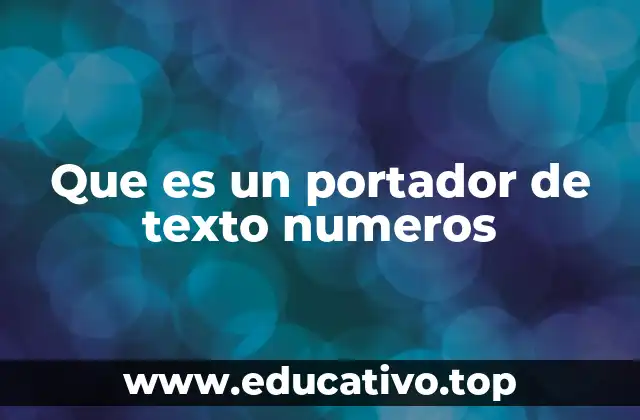 Que es un portador de texto numeros