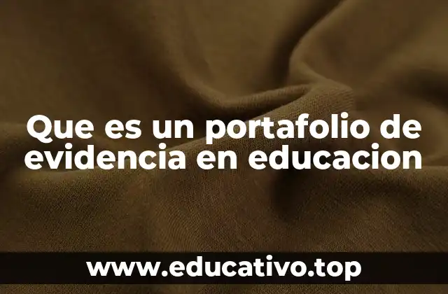 Que es un portafolio de evidencia en educacion