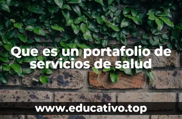 Que es un portafolio de servicios de salud