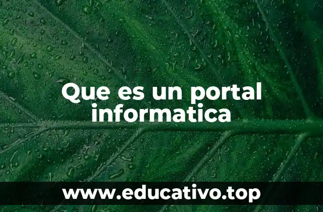 Que es un portal informatica