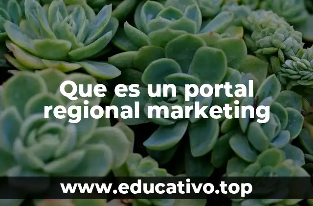 Que es un portal regional marketing