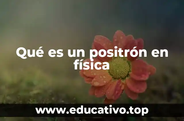 El positrón y el mundo de las partículas subatómicas