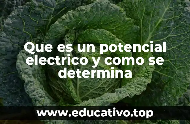 Que es un potencial electrico y como se determina