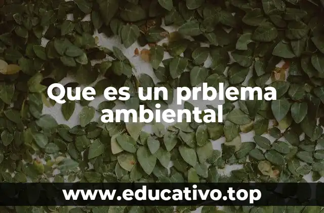 Que es un prblema ambiental