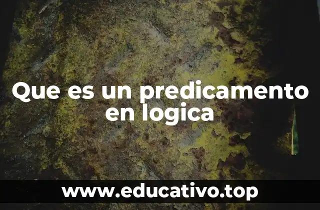 Cómo los predicamentos ayudan a organizar el conocimiento