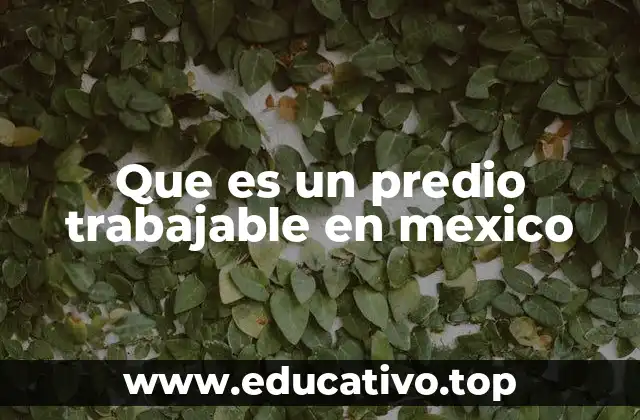 Que es un predio trabajable en mexico