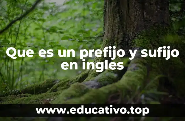 Que es un prefijo y sufijo en ingles