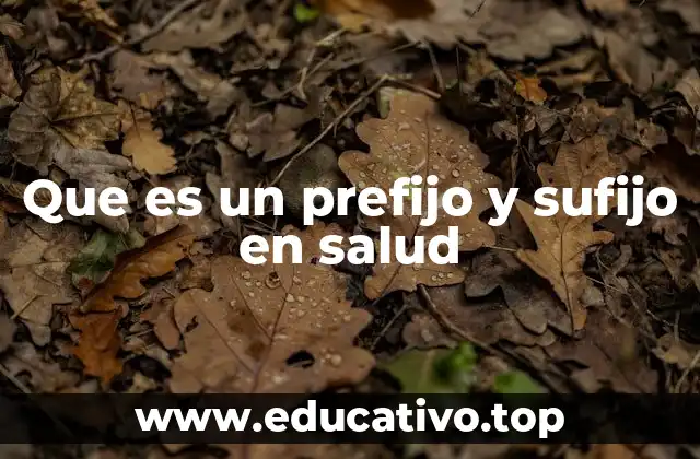 Que es un prefijo y sufijo en salud