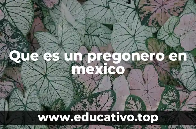 Que es un pregonero en mexico