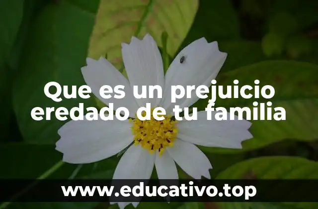 Que es un prejuicio eredado de tu familia