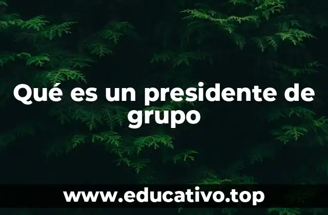 Qué es un presidente de grupo