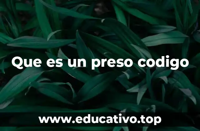 Que es un preso codigo