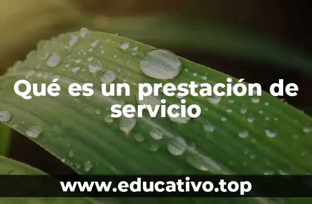 La importancia de la prestación de servicios en la economía moderna