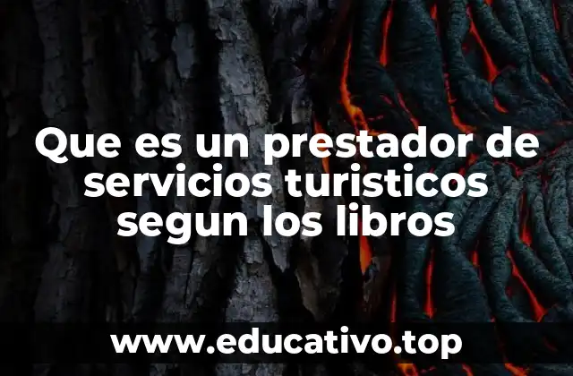 Que es un prestador de servicios turisticos segun los libros