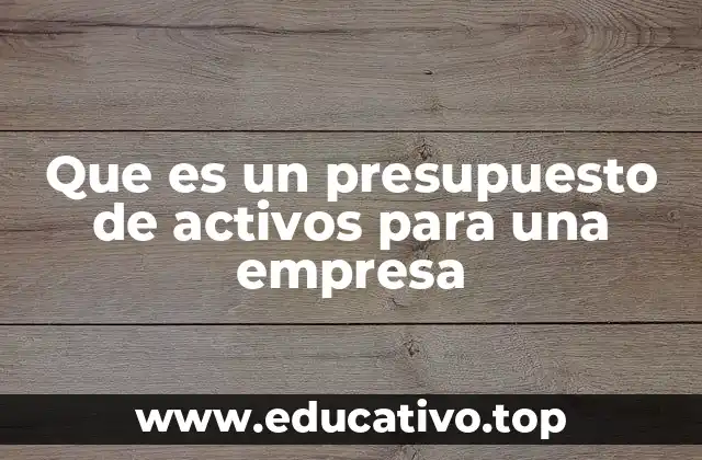 Que es un presupuesto de activos para una empresa