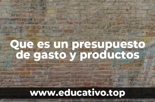 Que es un presupuesto de gasto y productos