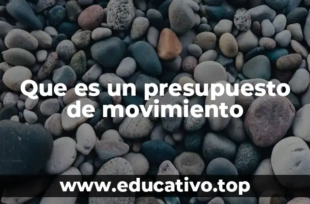 Que es un presupuesto de movimiento